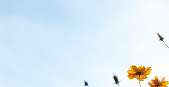 Vision Health in May